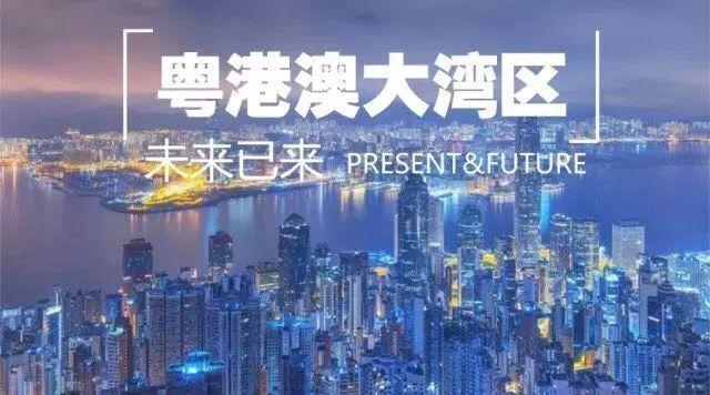 2025年新澳门和香港正版精准免费大全,全面释义解释与落实...