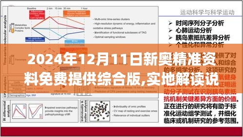 预见2025,全年免费精准资料的实用释义与实施策略 - 科技 -.